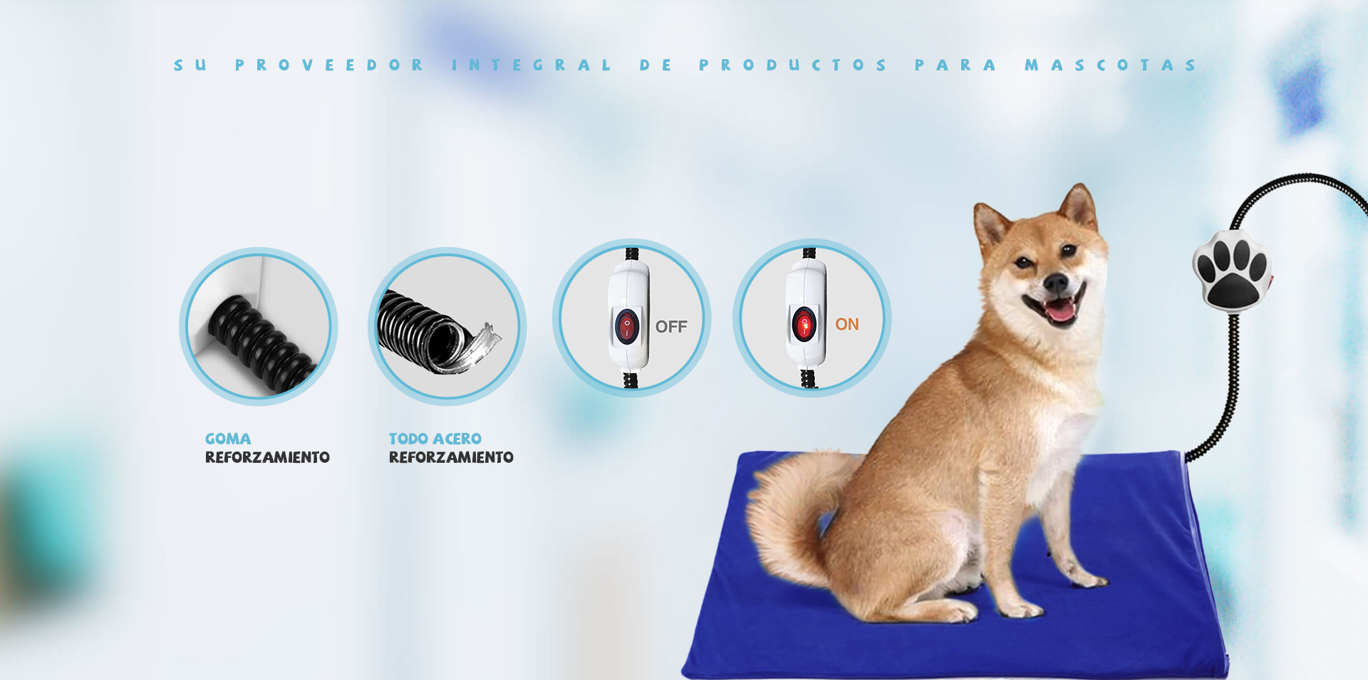 Max Pet Company’s Pet Accessories