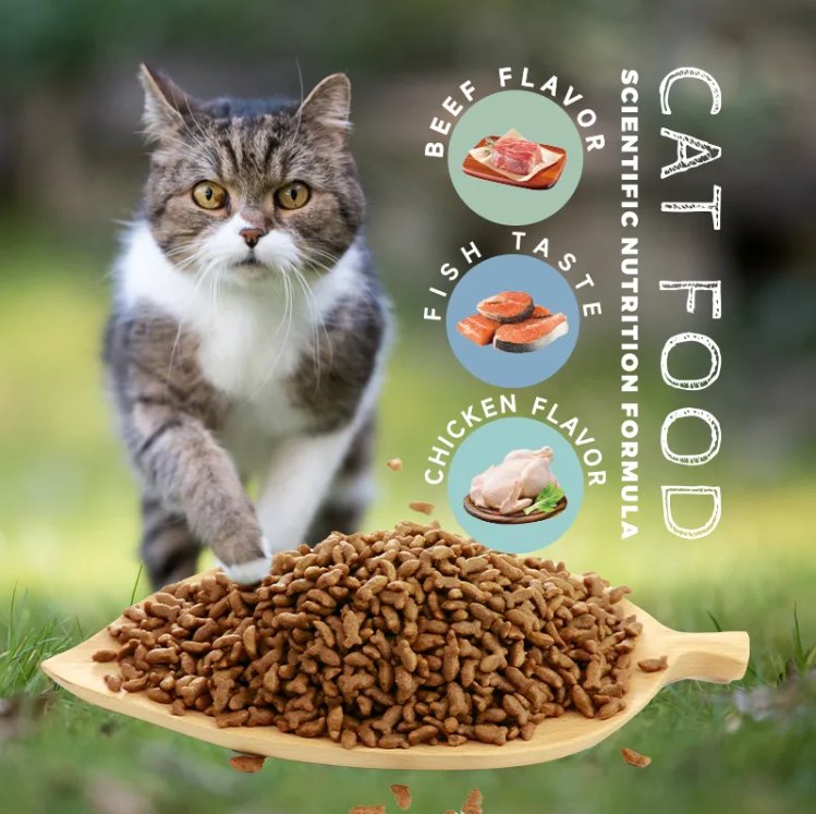 Natural Raw Chicken Cat Dry Food